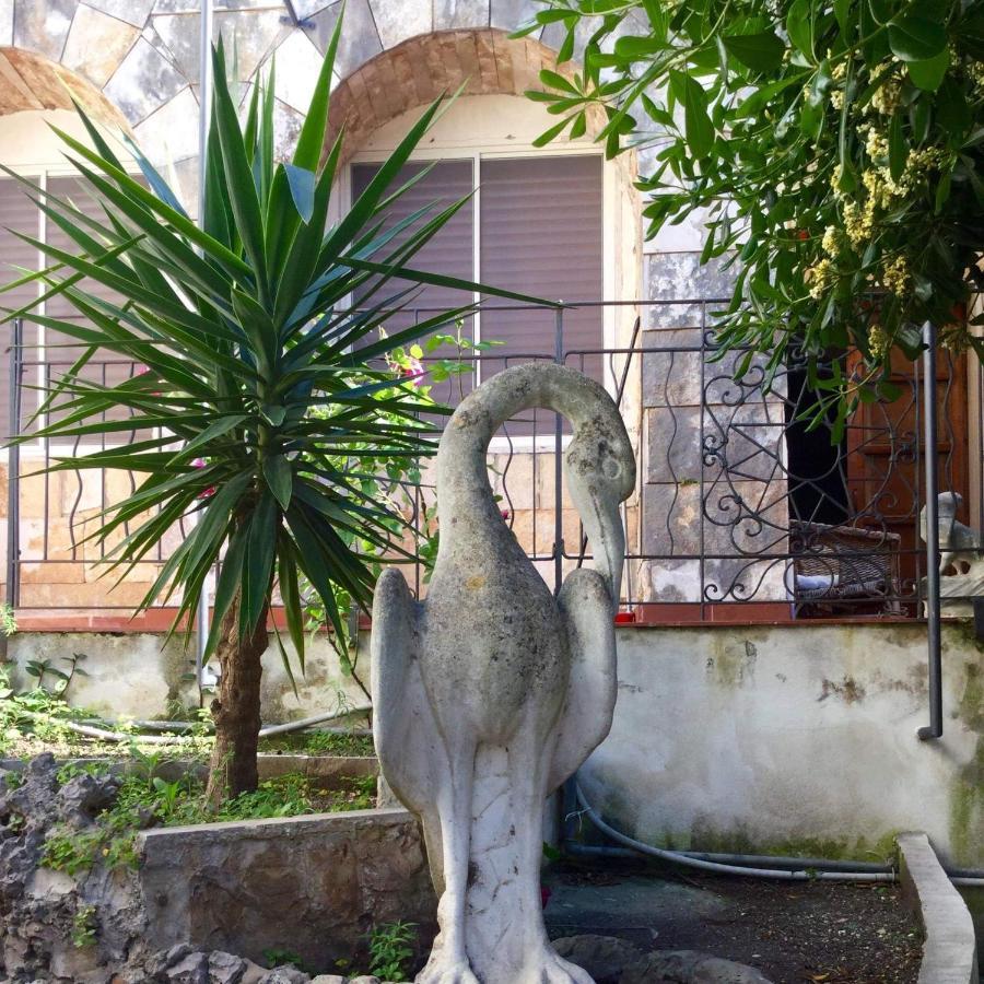 Merina * Vieste